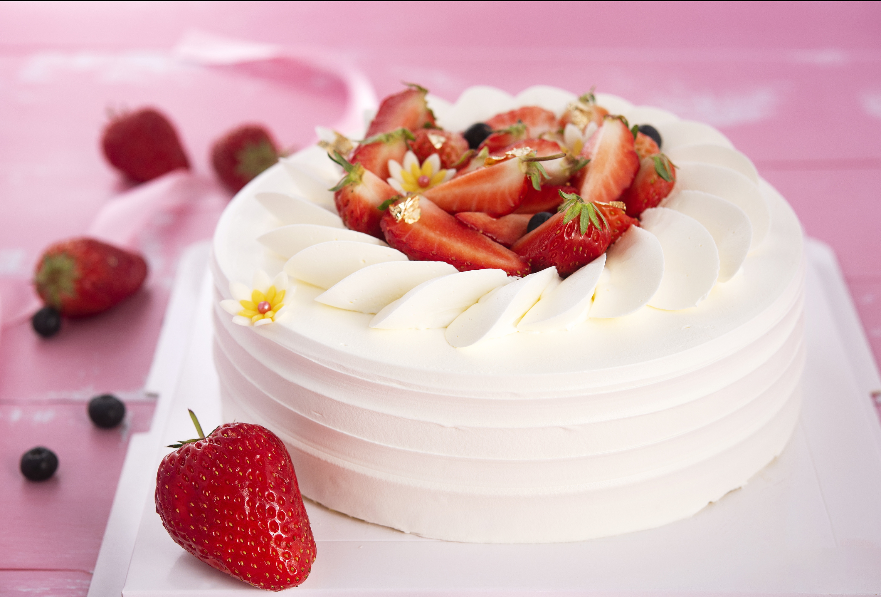 珠海市慈善总会携手爱心企业助力基层灭蚊防控