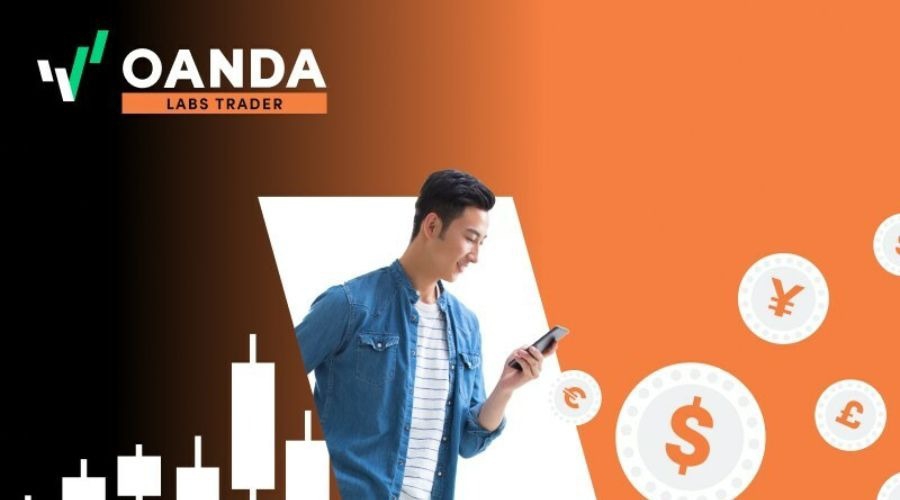2022上海反垄断&价格监管，年终大盘点！