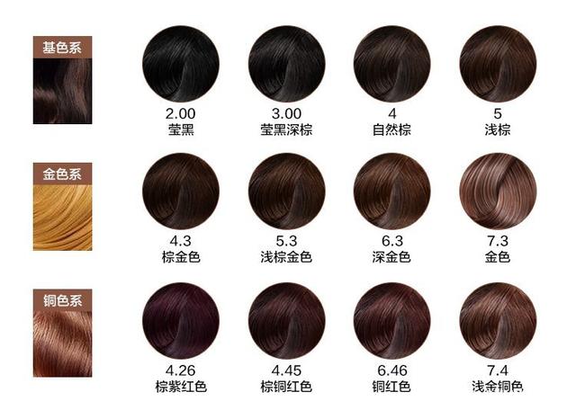 湛江钢铁零碳项目两大核心设备成功吊装就位