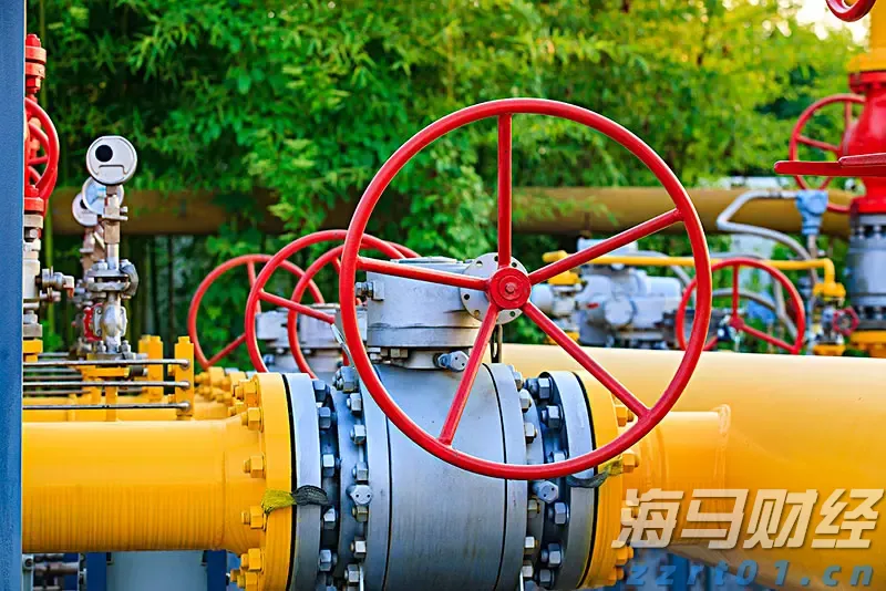 河北省市场监管局：全省行动 强力支撑!