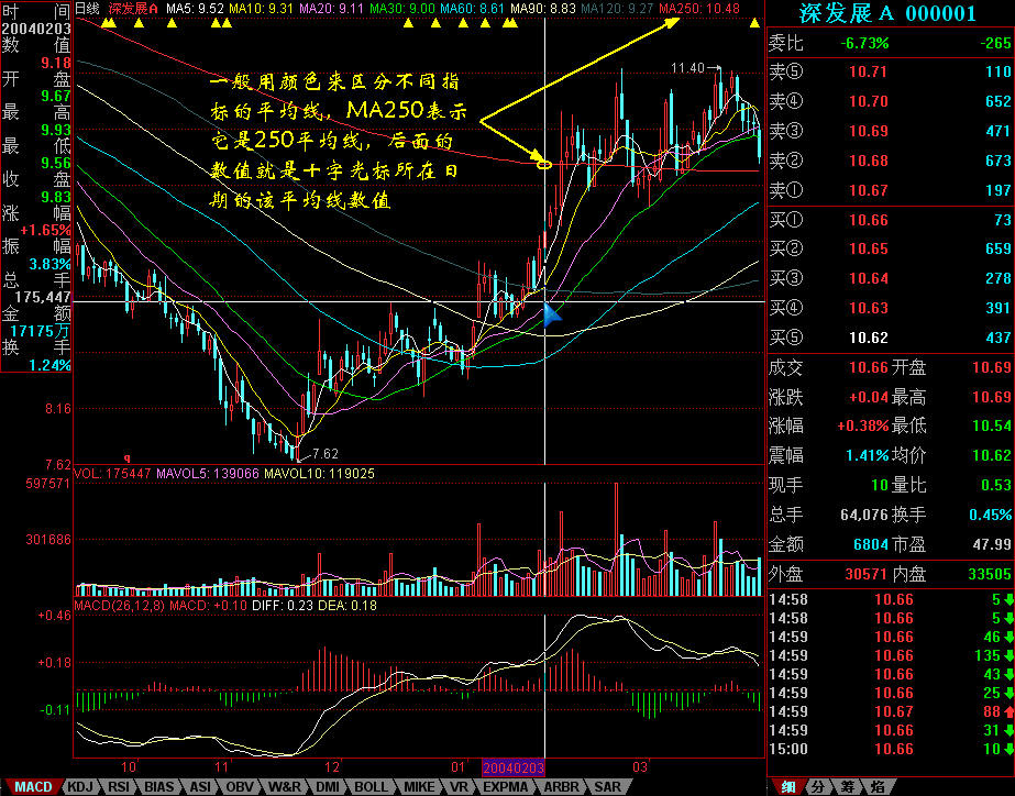 南木镇：春分时节插秧忙