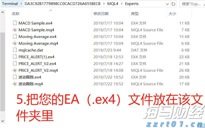 海南省市场监管局和海南省知识产权局共建海南自贸港知识产权大保护格局