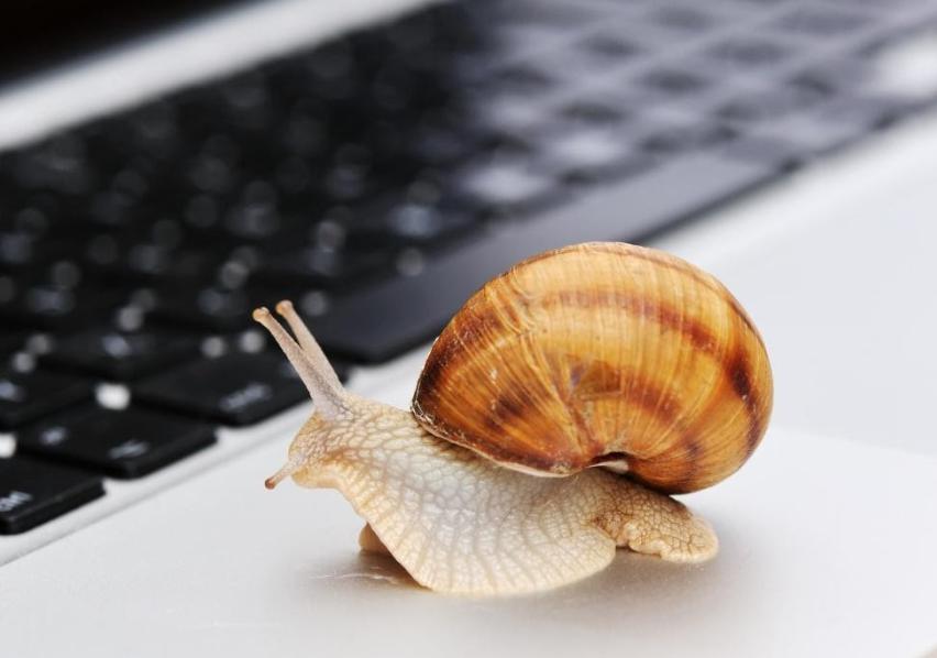 AI首次在数学奥赛中获金！谷歌Gemini与OpenAI齐头并进
