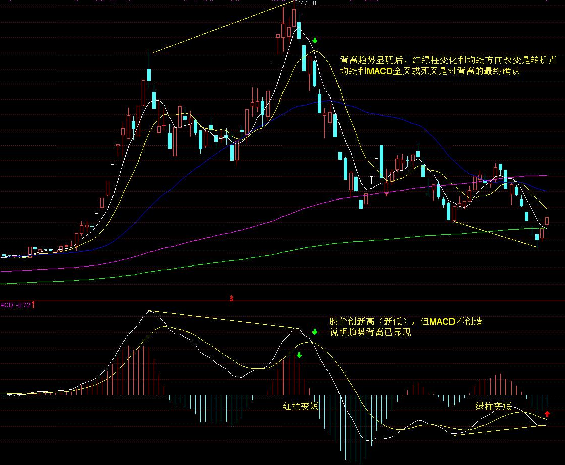 小型养猪场污水处理设备一套多少钱